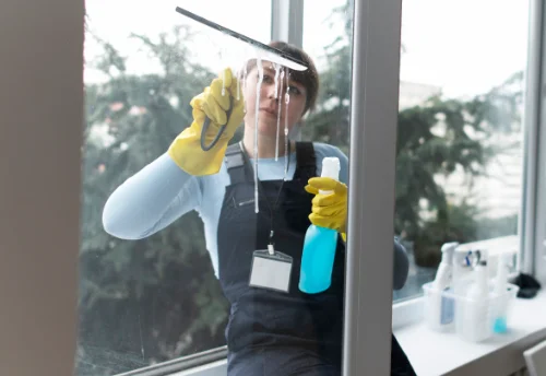 Nettoyage de vitres intérieures et extérieures à Biozat